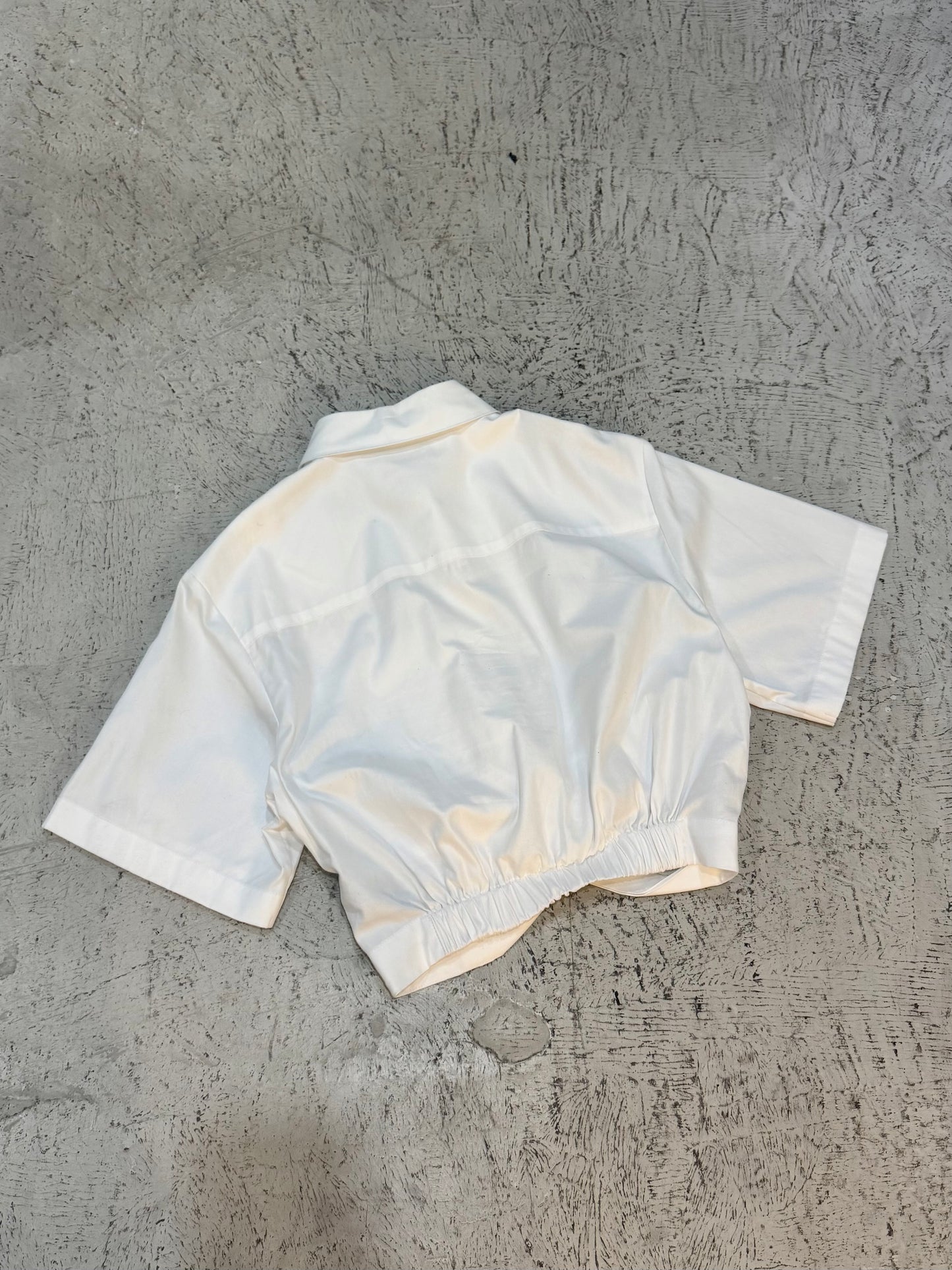 ALEXANDER WANG